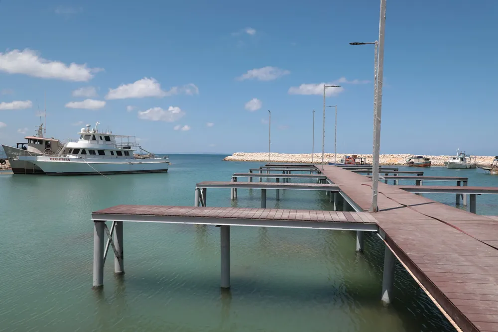 WhatsApp Image 2024-03-17 at 6.18.34 PM (1)