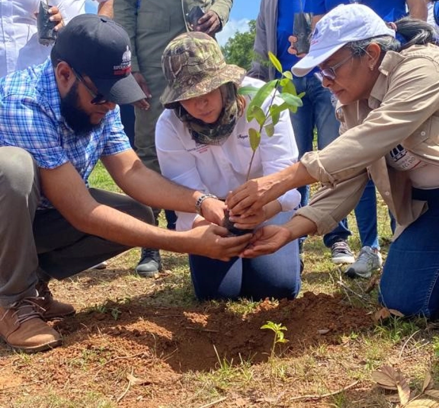 81617031e9318e4f76b86b7f8109eaa5_XL