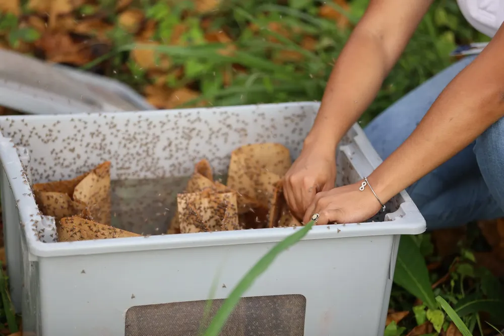 WhatsApp-Image-2024-02-20-at-10.55.40-AM-scaled