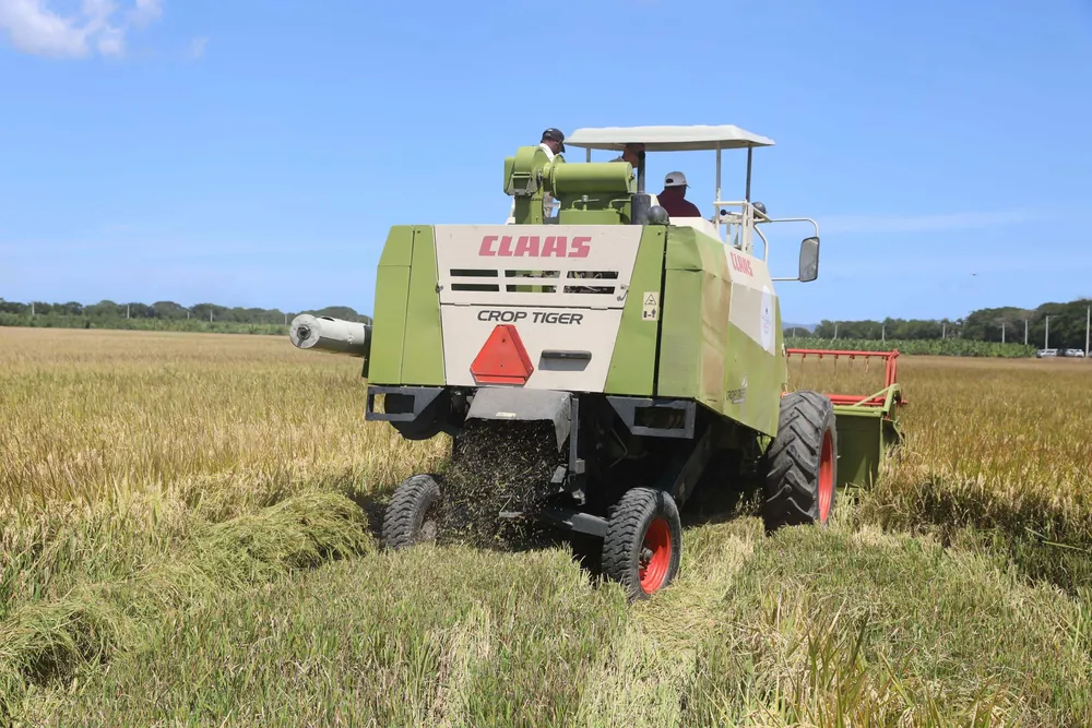 WhatsApp Image 2024-03-05 at 3.48.54 PM(1)