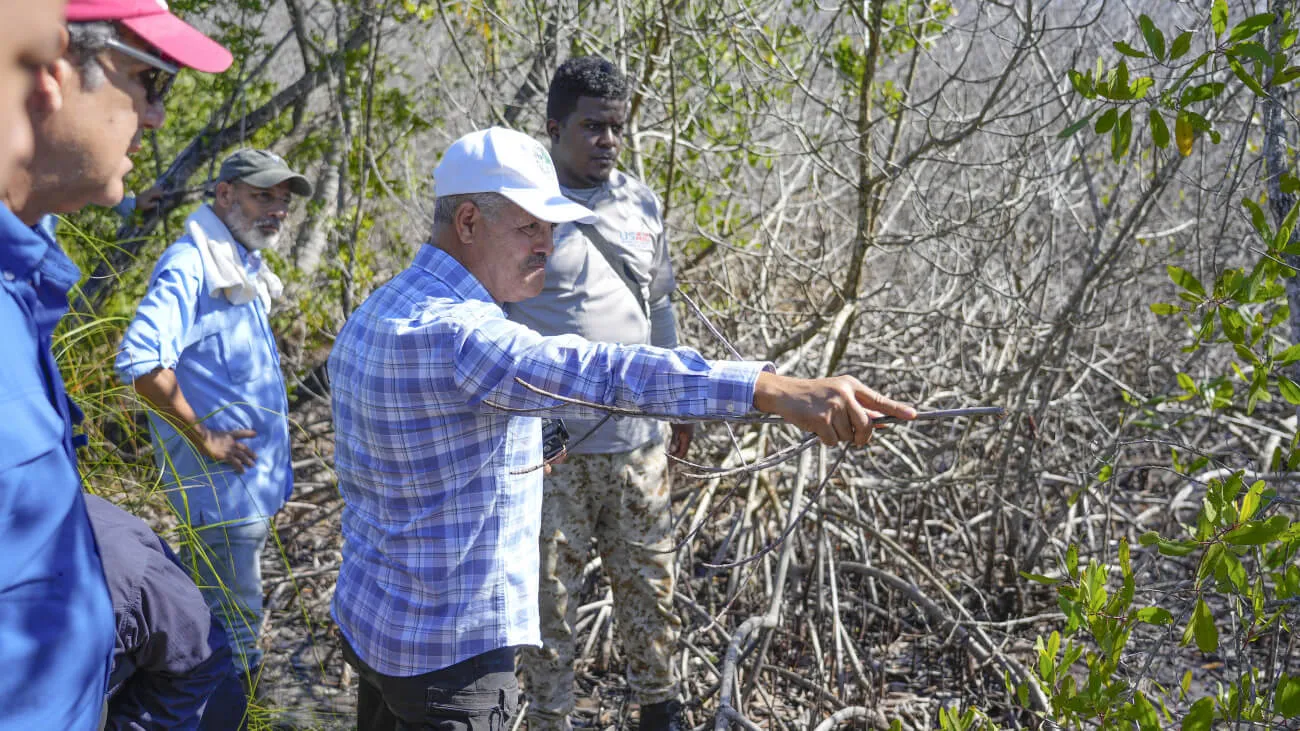 Biólogos y técnicos de Medio Ambiente acompañan a fiscales, académicos y ambientalistas en evaluación de manglar afectado en Las Terrenas (6)(1)