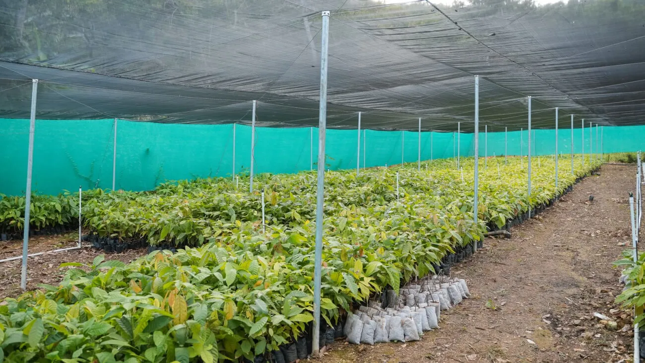 WhatsApp Image 2023-10-23 at 10.29.17 AM(1)